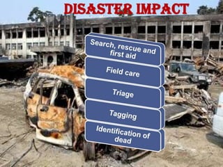 Disaster impact
 