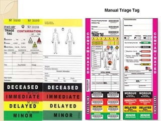 World Food Programme (WFP) 