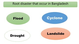 Disaster risk reduction scenario in Bangladesh | PPTX