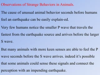 Observations of Strange Behaviors in Animals.
The cause of unusual animal behavior seconds before humans
feel an earthquake can be easily explain-ed.
Very few humans notice the smaller P wave that travels the
fastest from the earthquake source and arrives before the larger
S wave.
But many animals with more keen senses are able to feel the P
wave seconds before the S wave arrives. indeed it’s possible
that some animals could sense these signals and connect the
perception with an impending earthquake.
 
