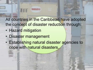 All countries in the Caribbean have adopted
the concept of disaster reduction through:
• Hazard mitigation
• Disaster management
• Establishing natural disaster agencies to
  cope with natural disasters.
 