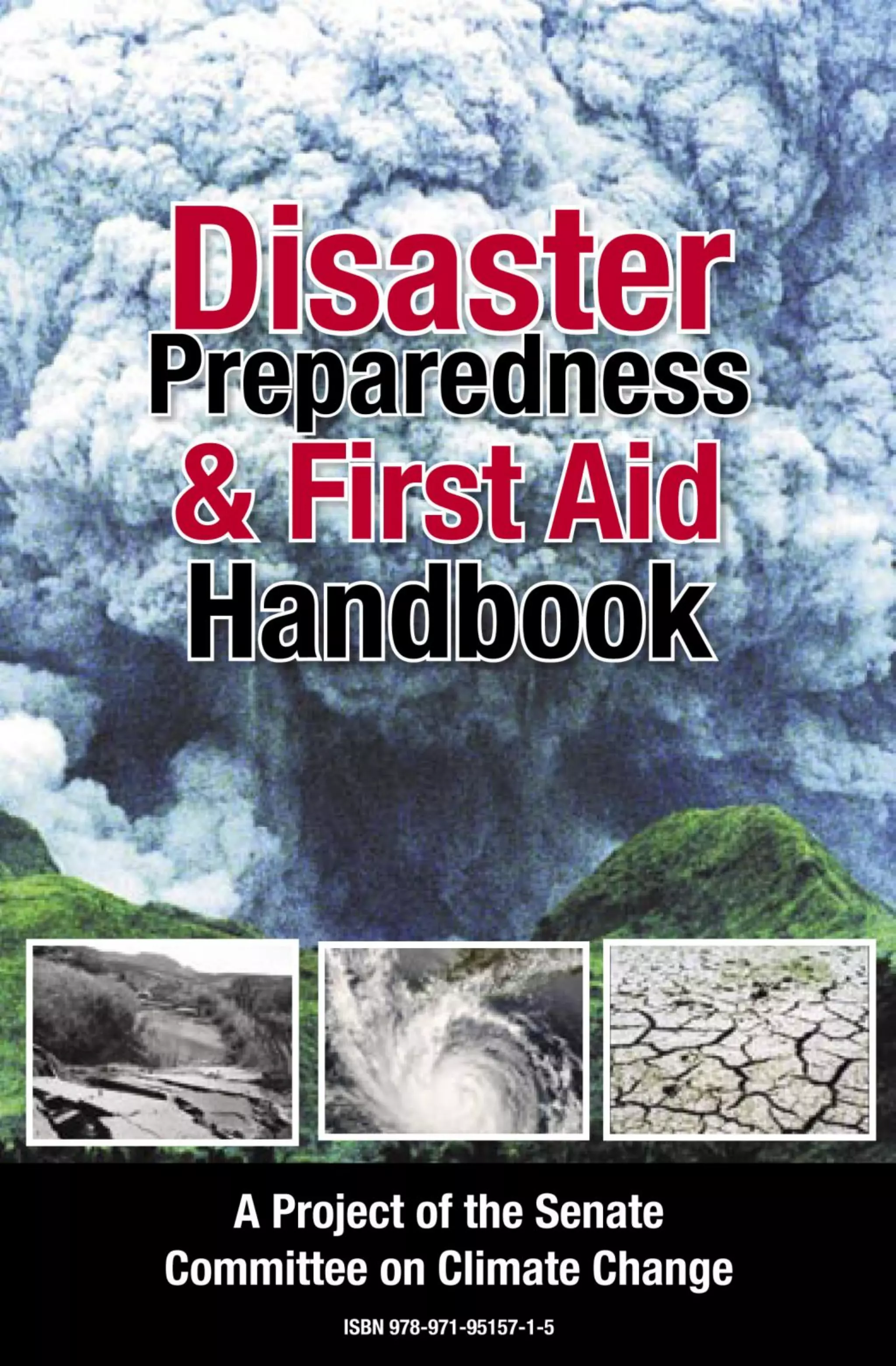 Disaster_Preparedness_First_Aid_Handbook.pdf