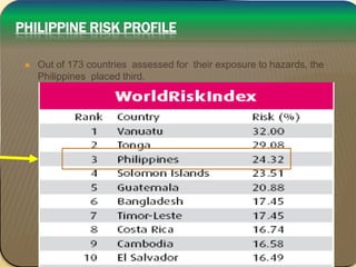Disaster preparedness | PPTX