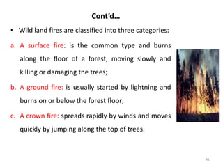 Disaster prevention and preparedness.pdf