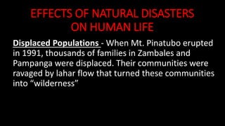 EFFECTS OF NATURAL DISASTERS
ON HUMAN LIFE
Displaced Populations - When Mt. Pinatubo erupted
in 1991, thousands of families in Zambales and
Pampanga were displaced. Their communities were
ravaged by lahar flow that turned these communities
into “wilderness”
 