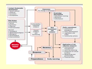Disaster Risk Management PPT2018.pdf