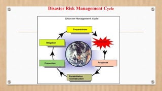 Disaster Risk Management Cycle
 
