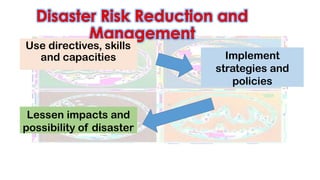 Philippines Risk Layering Strategy Disaster Risk Profile of the Philippines.pptx