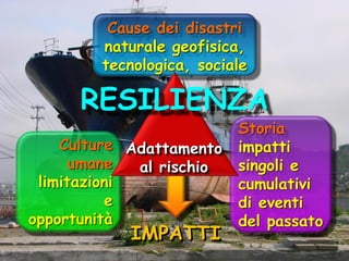 Cause dei disastri
naturale geofisica,
tecnologica, sociale

RESILIENZA
Culture Adattamento
umane
al rischio
limitazioni
e
opportunità

IMPATTI

Storia
impatti
singoli e
cumulativi
di eventi
del passato

 