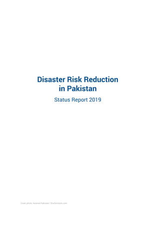 UNDRR Disaster Risk Reduction in Pakistan | PDF