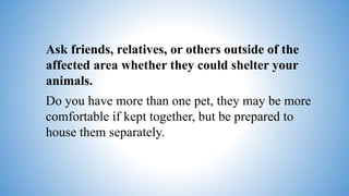 Ask friends, relatives, or others outside of the
affected area whether they could shelter your
animals.
Do you have more than one pet, they may be more
comfortable if kept together, but be prepared to
house them separately.
 