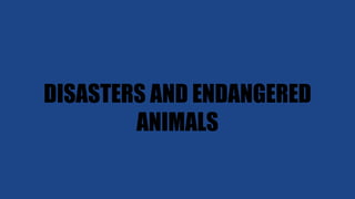 DISASTERS AND ENDANGERED
ANIMALS
 
