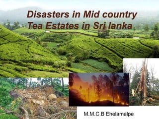 Disasters in Mid country
Tea Estates in Sri lanka
M.M.C.B Ehelamalpe
 