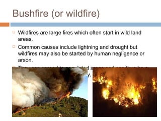Disasters management | PPT