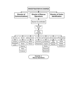 Disaster Victim Identification