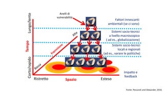 Fonte: Pescaroli and Alexander, 2016
Tempo
Corto/rapidoLungo/lento
SpazioRistretto Esteso
CAS & critical
infrastructure
Sistemi socio-tecnici
a livello macroscopico
( ad es., globalizzazione)
Sistemi socio-tecnici
locali e regionali
(ad es., varare le politiche)
Fattori innescanti
ambientali (se ci sono)
Impatto e
feedback
Anelli di
vulnerabilità
 