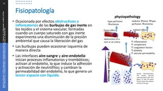 15
Fisiopatología
• Ocasionada por efectos obstructivos e
inflamatorios de las burbujas de gas inerte en
los tejidos y el sistema vascular, formadas
cuando un cuerpo saturado con gas inerte
experimenta una disminución de la presión
ambiental que causa la liberación del gas
• Las burbujas pueden ocasionar isquemia de
manera directa
• Las interfaces aire-sangre y aire-endotelio
inician procesos inflamatorios y trombóticos;
activan al endotelio, lo que induce la adhesión
y activación de neutrófilos; y cambian la
permeabilidad del endotelio, lo que genera un
tercer espacio con líquido.
Snyder
B,
&
Neuman
T
(2013).
Disbarismo
y
complicaciones
del
buceo.
Tintinalli
J.E.,
&
Stapczynski
J,
&
Ma
O,
&
Cline
D.M.,
&
Meckler
G.D.,
&
Cydulka
R.K.(Eds.),
Tintinalli.
Medicina
de
urgencias,
7e.
McGraw
Hill.
 