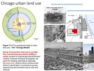 Chicago urban land use
Figure 11.3 The ecological model of urban
land use – The “Chicago Model”
Zones of concentric land use in a model
City. Central business district (CBD) at
center, location of original agricultural farmers’
markets, livestock transport & slaughter, rail
yards for shipping nationally & regionally.
Manufacturing. Historic ethnic enclaves with
distinct cultural fabric in proximity to groups
experiencing discrimination due to race and
ethnicity.
http://www.chicagohs.org/history/stockyard/stock6.html
Kids in the Dump yards of
Chicago
http://www.chicagohs.org/history/stockyard/sto
Worker Housing
Chicago Union Stockyards, Railroads
Manufacturing Zones
 