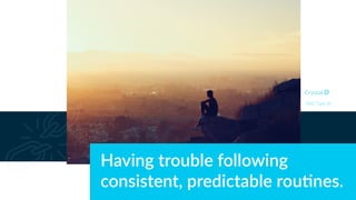 Having trouble following
consistent, predictable rou4nes.
DISC Type Di
 