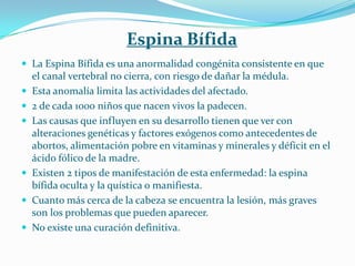 Espina Bífida
 La Espina Bífida es una anormalidad congénita consistente en que
    el canal vertebral no cierra, con riesgo de dañar la médula.
   Esta anomalía limita las actividades del afectado.
   2 de cada 1000 niños que nacen vivos la padecen.
   Las causas que influyen en su desarrollo tienen que ver con
    alteraciones genéticas y factores exógenos como antecedentes de
    abortos, alimentación pobre en vitaminas y minerales y déficit en el
    ácido fólico de la madre.
   Existen 2 tipos de manifestación de esta enfermedad: la espina
    bífida oculta y la quística o manifiesta.
   Cuanto más cerca de la cabeza se encuentra la lesión, más graves
    son los problemas que pueden aparecer.
   No existe una curación definitiva.
 