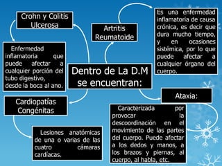 Dentro de La D.M
se encuentran:
Artritis
Reumatoide
Es una enfermedad
inflamatoria de causa
crónica, es decir que
dura mucho tiempo,
y en ocasiones
sistémica, por lo que
puede afectar a
cualquier órgano del
cuerpo.
Ataxia:
Caracterizada por
provocar la
descoordinación en el
movimiento de las partes
del cuerpo. Puede afectar
a los dedos y manos, a
los brazos y piernas, al
cuerpo, al habla, etc.
Cardiopatías
Congénitas
Lesiones anatómicas
de una o varias de las
cuatro cámaras
cardíacas.
Crohn y Colitis
Ulcerosa
Enfermedad
inflamatoria que
puede afectar a
cualquier porción del
tubo digestivo,
desde la boca al ano.
 
