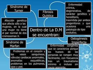 Dentro de La D.M
se encuentran:
Fibrosis
Quística
Enfermedad
crónica,
degenerativa, de
carácter genético y
hereditario,
trasmitida por ambos
progenitores y que
ocasiona una
patología de tipo
evolutivo.
Ostogénesis
Imperfecta
Enfermedad congénita
que se caracteriza porque
los huesos de las
personas se rompen muy
fácilmente, con frecuencia
tras un traumatismo
mínimo e incluso sin
causa aparente.
Síndrome de
Marfan
Problemas en el corazón y
los vasos sanguíneos,
válvulas cardiacas anormales,
anomalías esqueléticas,
problemas en los pulmones,
ojos y piel.
Síndrome de
Turner
Afección genética
que afecta sólo a las
mujeres. en la cual
una mujer no tiene
el par normal de dos
cromosomas X.
 