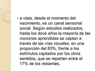  a vista, desde el momento del
nacimiento, es un canal sensorial
social. Según estudios realizados,
hasta los doce años la mayoría de las
nociones aprendidas se captan a
través de las vías visuales, en una
proporción del 83%, frente a los
estímulos captados por los otros
sentidos, que se reparten entre el
17% de los restantes.
 