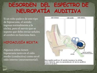 Si un niño padece de este tipo
de hipoacusia, el sonido
ingresa normalmente a la
cóclea, pero el nervio que se
supone que debe enviar señales
al cerebro no funciona bien.

HIPOACUSÍA MIXTA:

Algunos niños tienen
hipoacusia tanto en el oído
medio (conductiva) como en el
oído interno (neurosensorial).
 
