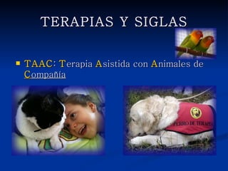 TERAPIAS Y SIGLAS


   TAAC: Terapia Asistida con Animales de
    Compañía
 