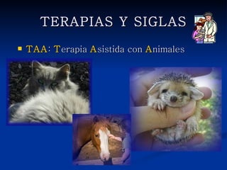 TERAPIAS Y SIGLAS

   TAA: Terapia Asistida con Animales
 