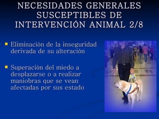 NECESIDADES GENERALES
    SUSCEPTIBLES DE INTERVENCIÓN
             ANIMAL 2/8

   Eliminación de la inseguridad
    derivada de su alteración

   Superación del miedo a
    desplazarse o a realizar
    maniobras que se vean afectadas
    por sus estado
 