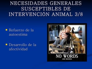 NECESIDADES GENERALES
SUSCEPTIBLES DE INTERVENCIÓN
         ANIMAL 3/8


   Refuerzo de la
    autoestima

   Desarrollo de la
    afectividad
 