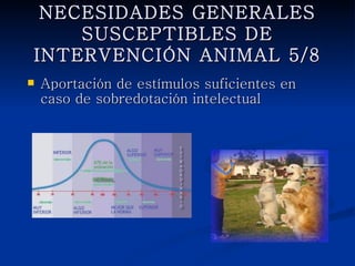 NECESIDADES GENERALES
SUSCEPTIBLES DE INTERVENCIÓN
         ANIMAL 5/8
   Aportación de estímulos suficientes en caso
    de sobredotación intelectual
 