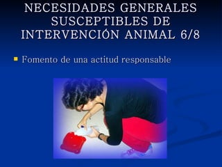 NECESIDADES GENERALES
SUSCEPTIBLES DE INTERVENCIÓN
         ANIMAL 6/8

   Fomento de una actitud responsable
 