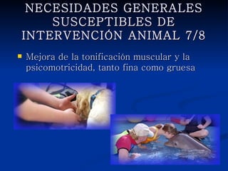 NECESIDADES GENERALES
SUSCEPTIBLES DE INTERVENCIÓN
         ANIMAL 7/8
   Mejora de la tonificación muscular y la
    psicomotricidad, tanto fina como gruesa
 