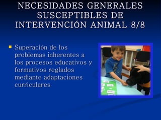 NECESIDADES GENERALES
SUSCEPTIBLES DE INTERVENCIÓN
         ANIMAL 8/8

   Superación de los
    problemas inherentes a los
    procesos educativos y
    formativos reglados
    mediante adaptaciones
    curriculares
 