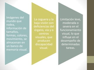 Imágenes del
mundo que
rodea,
información de
tamaños,
formas, colores,
movimiento, se
almacenan en
un banco de
memoria visual.
La ceguera y la
baja visión son
deficiencias del
órgano, vía y o
centros
visuales, que
producen
discapacidad
visual.
Limitación leve,
moderada o
severa en el
funcionamiento
visual, lo que
influye en el
desempeño de
determinadas
tareas.
 