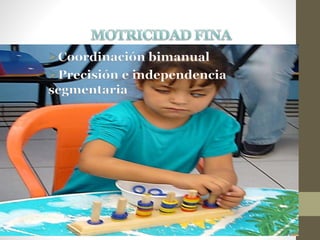 Coordinación bimanual
Precisión e independencia
segmentaria
 
