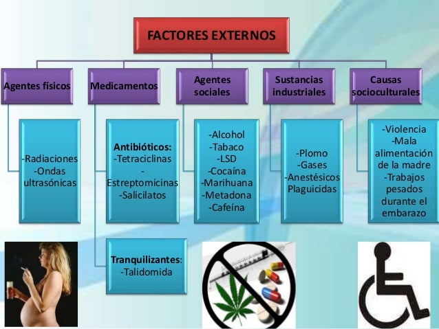 Discapacidad fisica Discapacidad fisica