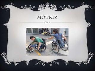 MOTRIZ
 