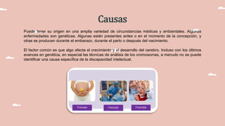 Causas
Puede tener su origen en una amplia variedad de circunstancias médicas y ambientales. Algunas
enfermedades son genéticas. Algunas están presentes antes o en el momento de la concepción, y
otras se producen durante el embarazo, durante el parto o después del nacimiento.
El factor común es que algo afecta el crecimiento y el desarrollo del cerebro. Incluso con los últimos
avances en genética, en especial las técnicas de análisis de los cromosomas, a menudo no se puede
identificar una causa específica de la discapacidad intelectual.
 