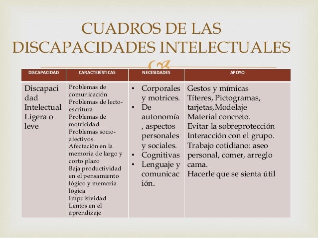 Discapacidad intelectual leve