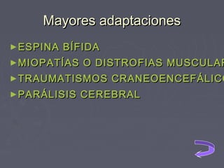 Mayores adaptaciones
► ESPINA

BÍFIDA

► MIOPATÍAS

O DISTROFIAS MUSCULAR

► TRAUMATISMOS
► PARÁLISIS

CRANEOENCEFÁLICO

CEREBRAL

 