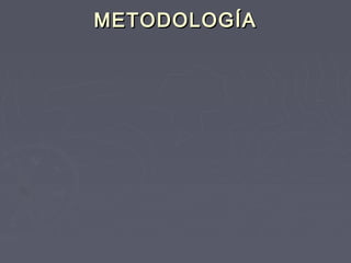 METODOLOGÍA

 