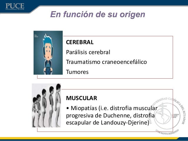discapacidad motrix discapacidad motrix