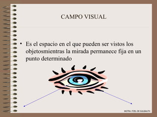 CAMPO VISUAL Es el espacio en el que pueden ser vistos los objetosmientras la mirada permanece fija en un punto determinado MGTRA. ITZEL DE GUILBAUTH 