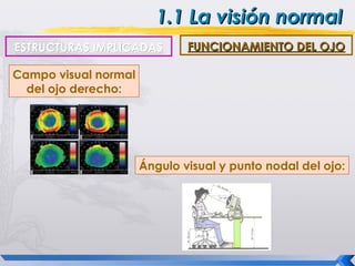 1.1 La visión normal
ESTRUCTURAS IMPLICADAS        FUNCIONAMIENTO DEL OJO

Campo visual normal
  del ojo derecho:


     IMAGEN


                      Ángulo visual y punto nodal del ojo:

                                  IMAGEN
 