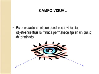 CAMPO VISUAL Es el espacio en el que pueden ser vistos los objetosmientras la mirada permanece fija en un punto determinado 