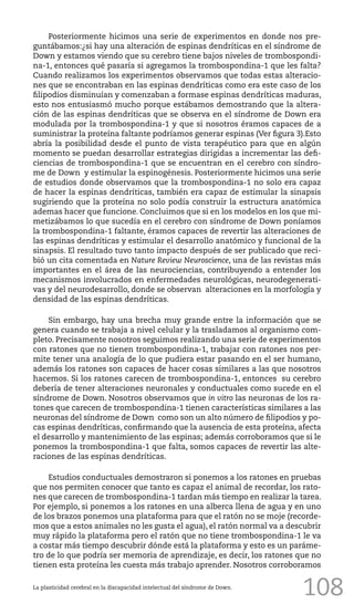 108
Posteriormente hicimos una serie de experimentos en donde nos pre-
guntábamos:¿si hay una alteración de espinas dendríticas en el síndrome de
Down y estamos viendo que su cerebro tiene bajos niveles de trombospondi-
na-1, entonces qué pasaría si agregamos la trombospondina-1 que les falta?
Cuando realizamos los experimentos observamos que todas estas alteracio-
nes que se encontraban en las espinas dendríticas como era este caso de los
filipodios disminuían y comenzaban a formase espinas dendríticas maduras,
esto nos entusiasmó mucho porque estábamos demostrando que la altera-
ción de las espinas dendríticas que se observa en el síndrome de Down era
modulada por la trombospondina-1 y que si nosotros éramos capaces de a
suministrar la proteína faltante podríamos generar espinas (Ver figura 3).Esto
abría la posibilidad desde el punto de vista terapéutico para que en algún
momento se puedan desarrollar estrategias dirigidas a incrementar las defi-
ciencias de trombospondina-1 que se encuentran en el cerebro con síndro-
me de Down y estimular la espinogénesis. Posteriormente hicimos una serie
de estudios donde observamos que la trombospondina-1 no solo era capaz
de hacer la espinas dendríticas, también era capaz de estimular la sinapsis
sugiriendo que la proteína no solo podía construir la estructura anatómica
ademas hacer que funcione. Concluimos que si en los modelos en los que mi-
metizábamos lo que sucedía en el cerebro con síndrome de Down poníamos
la trombospondina-1 faltante, éramos capaces de revertir las alteraciones de
las espinas dendríticas y estimular el desarrollo anatómico y funcional de la
sinapsis. El resultado tuvo tanto impacto después de ser publicado que reci-
bió un cita comentada en Nature Review Neuroscience, una de las revistas más
importantes en el área de las neurociencias, contribuyendo a entender los
mecanismos involucrados en enfermedades neurológicas, neurodegenerati-
vas y del neurodesarrollo, donde se observan alteraciones en la morfología y
densidad de las espinas dendríticas.
Sin embargo, hay una brecha muy grande entre la información que se
genera cuando se trabaja a nivel celular y la trasladamos al organismo com-
pleto. Precisamente nosotros seguimos realizando una serie de experimentos
con ratones que no tienen trombospondina-1, trabajar con ratones nos per-
mite tener una analogía de lo que pudiera estar pasando en el ser humano,
además los ratones son capaces de hacer cosas similares a las que nosotros
hacemos. Si los ratones carecen de trombospondina-1, entonces su cerebro
debería de tener alteraciones neuronales y conductuales como sucede en el
síndrome de Down. Nosotros observamos que in vitro las neuronas de los ra-
tones que carecen de trombospondina-1 tienen características similares a las
neuronas del síndrome de Down como son un alto número de filipodios y po-
cas espinas dendríticas, confirmando que la ausencia de esta proteína, afecta
el desarrollo y mantenimiento de las espinas; además corroboramos que si le
ponemos la trombospondina-1 que falta, somos capaces de revertir las alte-
raciones de las espinas dendríticas.
Estudios conductuales demostraron si ponemos a los ratones en pruebas
que nos permiten conocer que tanto es capaz el animal de recordar, los rato-
nes que carecen de trombospondina-1 tardan más tiempo en realizar la tarea.
Por ejemplo, si ponemos a los ratones en una alberca llena de agua y en uno
de los brazos ponemos una plataforma para que el ratón no se moje (recorde-
mos que a estos animales no les gusta el agua), el ratón normal va a descubrir
muy rápido la plataforma pero el ratón que no tiene trombospondina-1 le va
a costar más tiempo descubrir dónde está la plataforma y esto es un paráme-
tro de lo que podría ser memoria de aprendizaje, es decir, los ratones que no
tienen esta proteína les cuesta más trabajo aprender. Nosotros corroboramos
La plasticidad cerebral en la discapacidad intelectual del síndrome de Down.
 