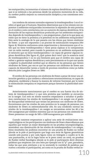 110
tes enriquecidos, incrementan el número de espinas dendríticas, esto sugiere
que si se estimula a las personas desde los primeros momentos de su vida,
su cerebro podría mejorar su comunicación sináptica y sus conexiones neu-
ronales.
Los cerebros de ratones normales expresan la trombospondina-1 en el ce-
rebro al igual que el humano. Nosotros observamos que si los ratones son ex-
puestos a ambientes enriquecidos incrementan la expresión de esta proteína
en el cerebro y esto correlaciona con un aumento de espinas dendríticas. Si la
formación de las espinas dendríticas producida por los ambientes enriqueci-
dos depende de trombospondina-1, nos preguntamos ¿Qué es lo que pasa un
ratón que no tiene la proteína y lo ponemos en los ambientes enriquecidos?
Esto sería la analogía de lo que pasaría con los chicos que tienen síndrome
de Down y que son expuestos a un proceso de estimulación temprana (Ver
figura 4). Nosotros realizamos estos experimentos y demostramos que el ra-
tón que no tiene trombospondina-1 tiene pocas espinas si lo comparamos
con un ratón normal, pero cuando lo ponemos en un ambiente enriquecido
el ratoncito que no tiene trombospondina-1 es capaz de generar algunas es-
pinas dendríticas (Ver figura 4) ¿Qué quiere decir esto? que la ausencia total
de trombospondina-1 no es una limitante para que el cerebro sea capaz de
volver a generar espinas dendríticas y esto precisamente es lo que nos ayuda
a explicar la plasticidad cerebral que se observa en las personas que tienen
síndrome de Down, por eso es que las personas con síndrome de Down son
capaces de desarrollar tareas a través de procesos miméticos como ya había
descrito John Langdon Down en 1866.
El cerebro de las personas con síndrome de Down a pesar de tener una al-
teración genética y que conlleva a alteraciones neuroanatómicas, es capaz de
adaptarse, moldearse y buscar la manera de volverse funcional, por lo tanto
la estimulación temprana es importante porque favorece la plasticidad cere-
bral.
Anteriormente mencionamos que el cerebro es una fuente rica de sín-
tesis de trombospondina-1 y que esta proteína que también se encuentra
en la sangre. Con esto en mente nosotros empezamos a estudiar si podía-
mos correlacionar los niveles de trombospondina-1 en sangre con el grado
de discapacidad intelectual que tenían las personas con síndrome de Down.
Encontramos que los niveles de esta proteína en la sangre de personas con
síndrome de Down es extremadamente alto. En una condición normal los
niveles de la trombospndina-1 en sangre se encuentran entre los 40 y los
250 nanogramos por mililitro mientras que en las personas con síndrome de
Down presentan un rango de 500 a 1200 nanogramos por mililitro.
Cuando nosotros empezamos a aplicar una serie de evaluaciones neu-
ropsicológicas en los participantes con síndrome de Down observábamos que
aquellos que tenían un mejor desempeño en las pruebas neuropsicológicas,
mostraban una disminución de los niveles de trombospondina-1 en sangre.
Estos resultados los pudimos encontrar en una prueba de fluidez no verbal
(donde se le pide al participante que haga una serie de figuras geométricas
usando solo puntos y por cada figura como un triángulo o cuadro se le da
una puntuación, si no lo logra hacer se le pone como un cero), en pruebas
de fluidez verbal fonológica (donde se le pide al participante decir diversas
palabras que empiecen con una letra por ejemplo con la “p”: pan, panadería,
todas las que sean similares y se va anotando la cantidad de palabras que
vuelva a recordar el participante), así como en la prueba de fluidez verbal se-
La plasticidad cerebral en la discapacidad intelectual del síndrome de Down.
 